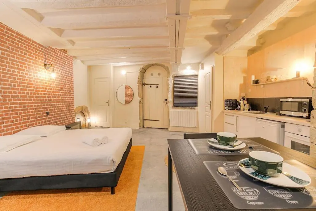 Apartment Industrial-Style Studio With Bathtub, Vieux-Lyon