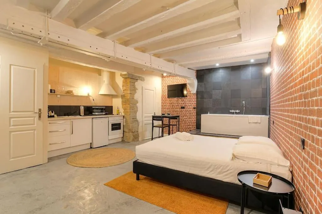 Apartment Industrial-Style Studio With Bathtub, Vieux-Lyon