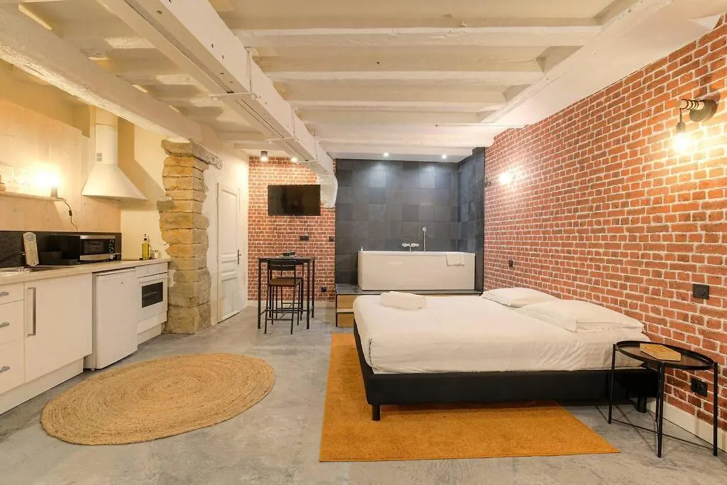 Industrial-Style Studio With Bathtub, Vieux-Lyon 0*, Lyon France